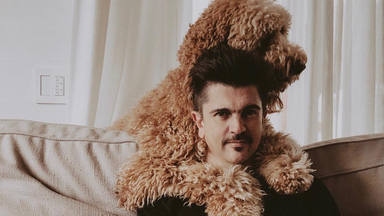 El perro de Juanes que está causando un gran revuelo en Instagram: "¿Es un caballo?"