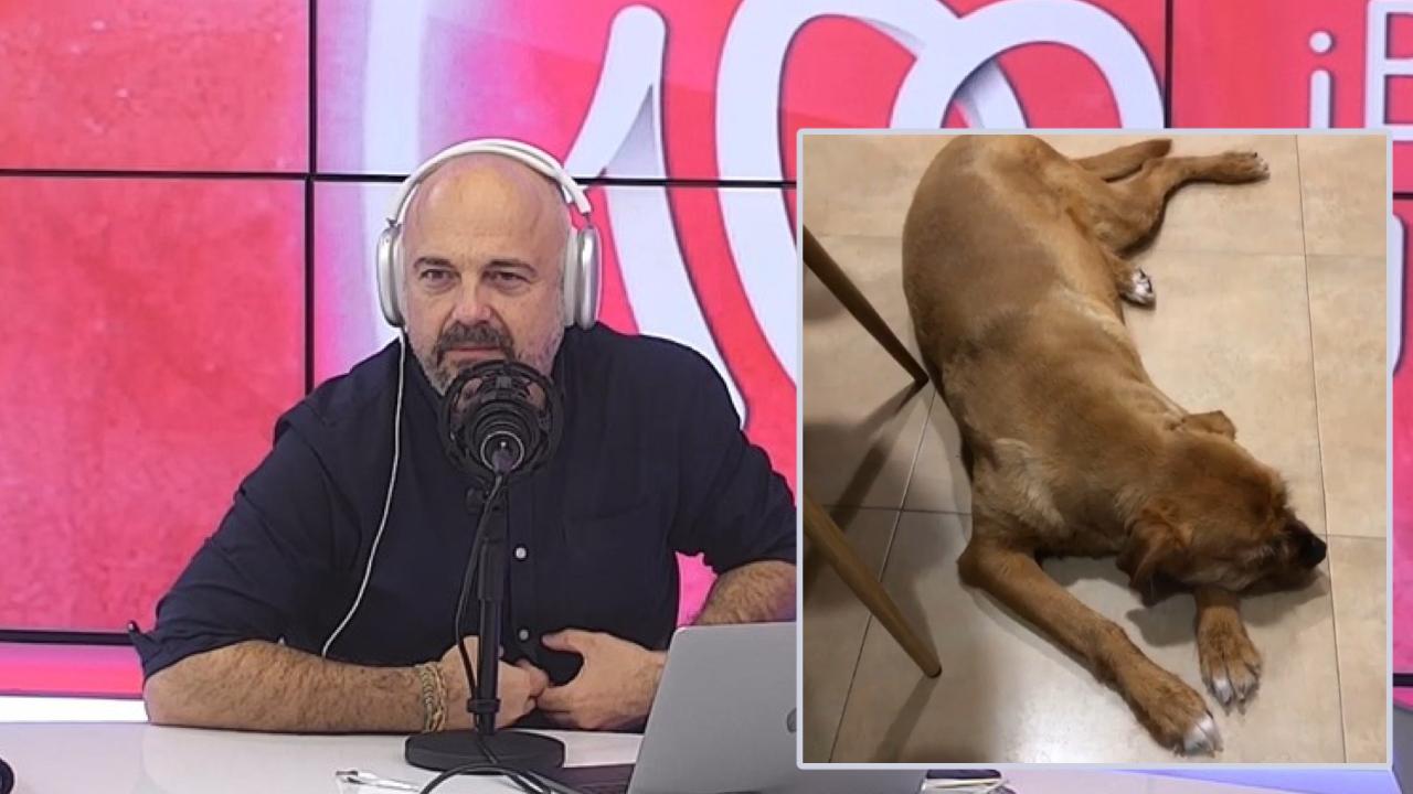 Javi Nieves y el curioso caso de su perro, que no ladra: su reacción cuando le manda callar dentro de casa