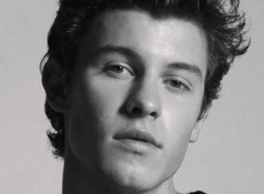 Shawn Mendes, "Youth"
