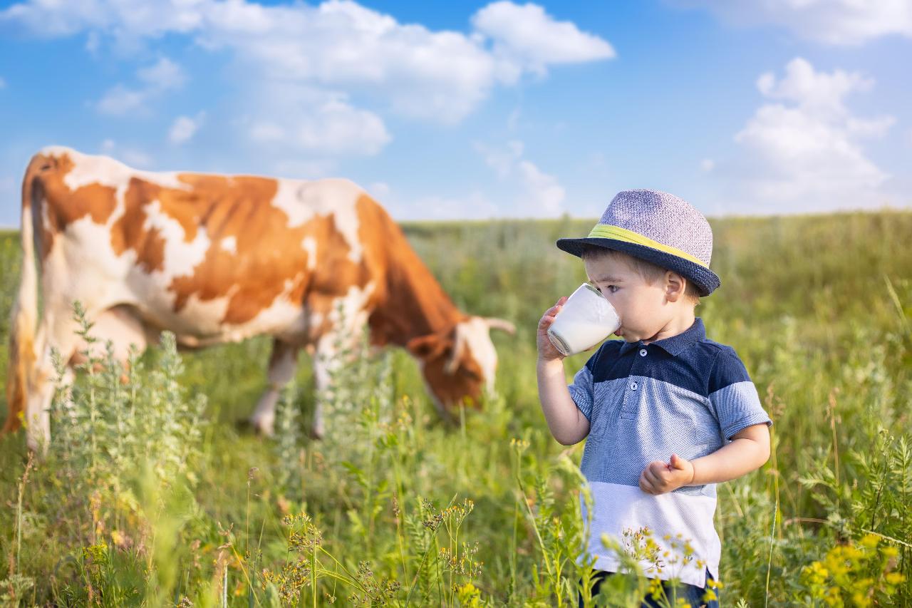 Los niños y Jimeno y lo mejor del pueblo: "Disfrutar de las vacas, echando leche, mirándolas"