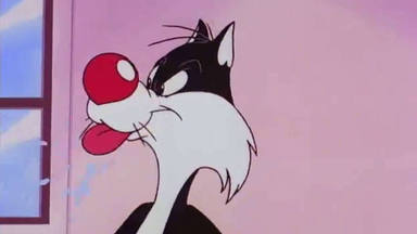 Gato Silvestre en Looney Tunes