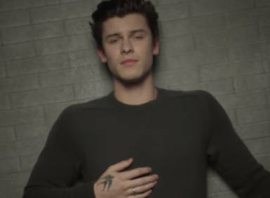 Shawn Mendes, "In my blood"