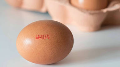 ¿Qué significa la letra del código del huevo?