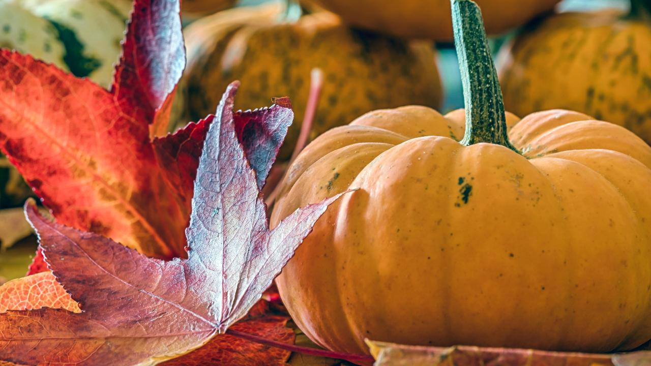 La calabaza y otras frutas y verduras de otoño: por qué debes consumirlas en esta época y no en otra