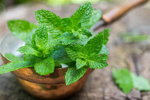 Crea el teu propi ambientador natural amb fulles de menta