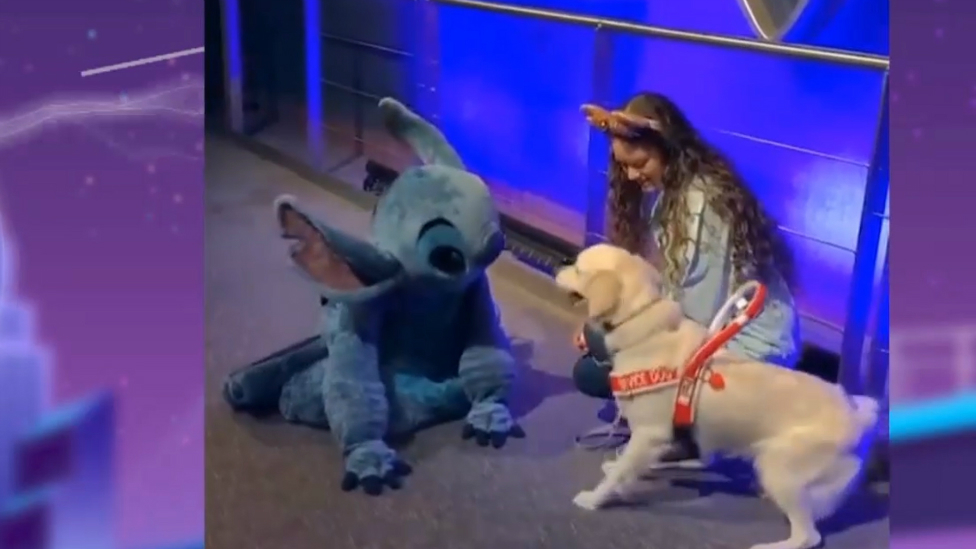 El encuentro de un perrito con su ídolo Disney