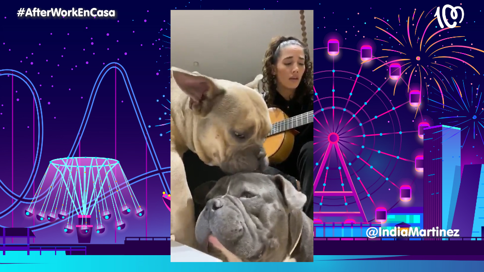Los perros de India Martínez no pueden contener su amor mientras canta