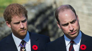 El príncipe Harry y su hermano Guillermo toman juntos una importante decisión