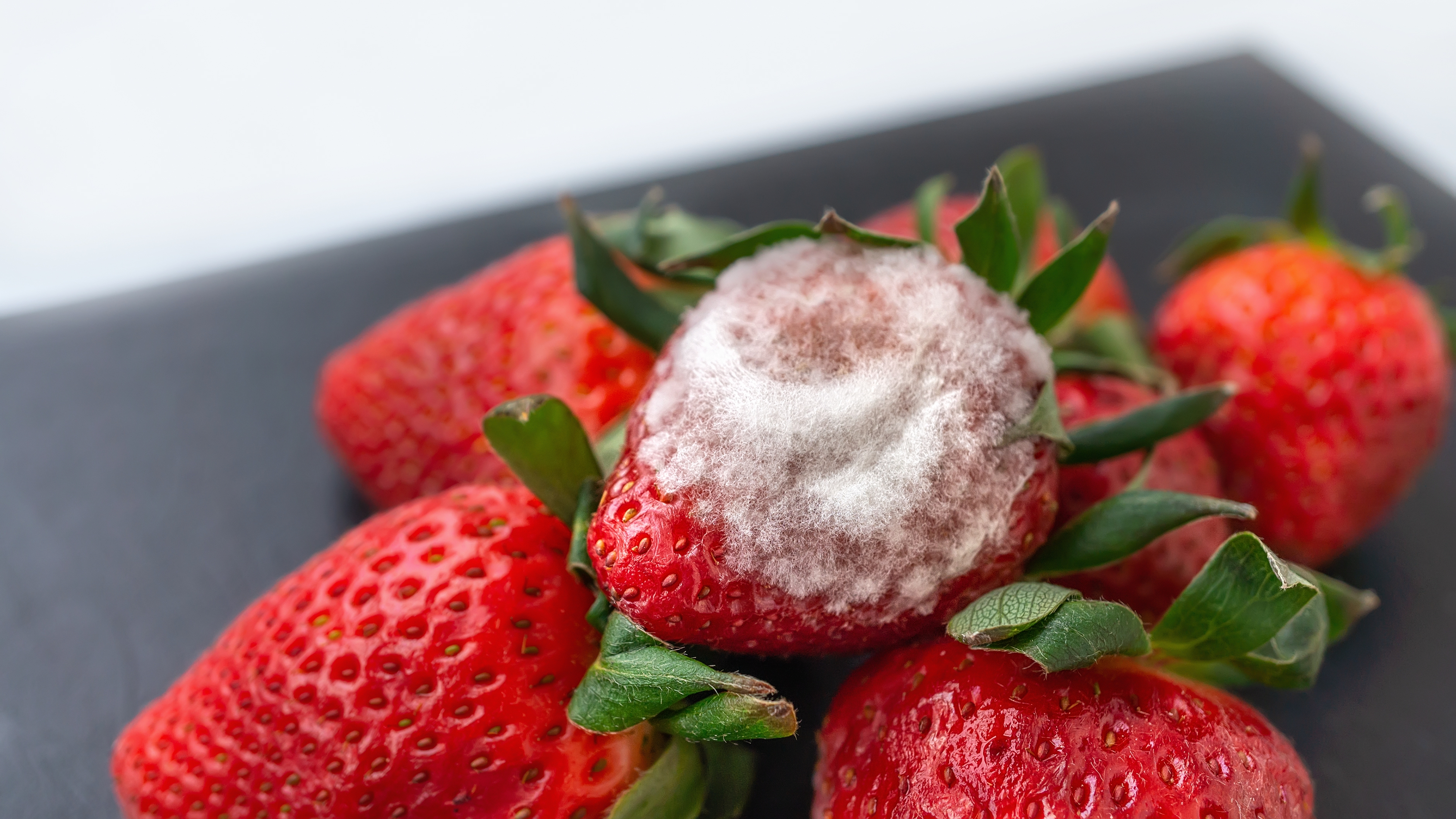 Los serios problemas de salud que puede ocasionarte comer fresas con moho