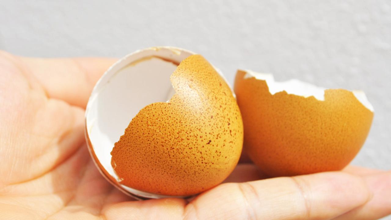 Para qué sirve la cáscara de huevo: los usos en los que quizás no habías caído