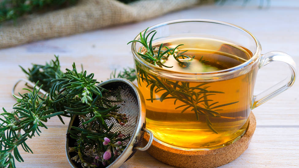 BENEFICIOS DEL HINOJO EN INFUSIÓN  Todo lo que debes saber sobre el té de  hinojo y sus beneficios para adelgazar