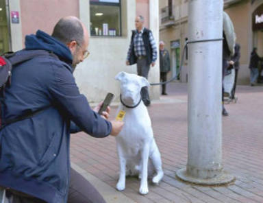 Barcelona col·loca escultures de gossos abandonats al carrer per animar les adopcions    