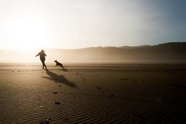 ¿Quieres ir a la playa con tu perro este verano? Estos son los mejores arenales de España