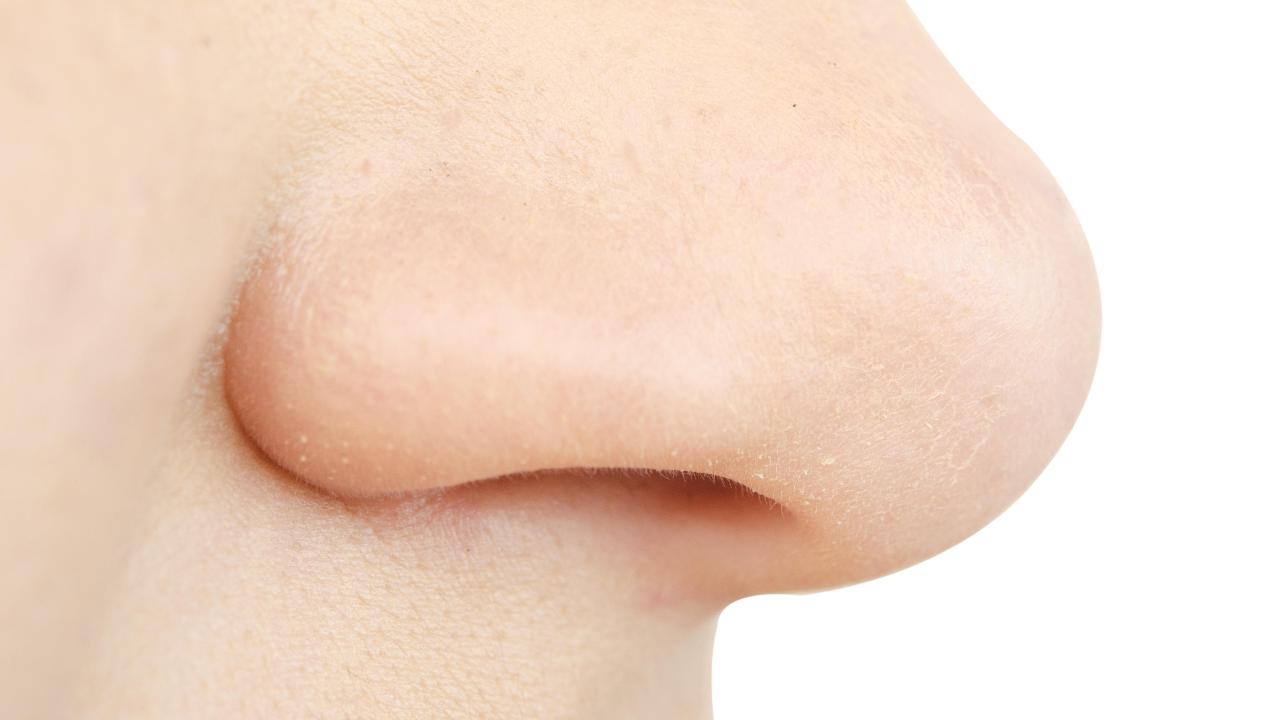 Por qué respiramos mejor por un orificio de la nariz que por el otro: la respuesta de la Ciencia