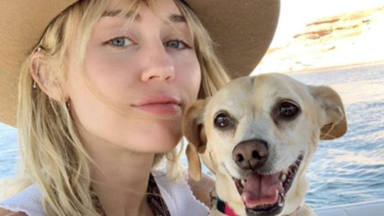 Miley Cyrus y su perra Little Dog