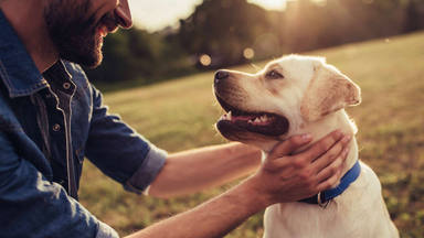 Un estudio demuestra que los perros entienden realmente lo que les decimos