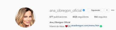 Ana Obregón cambia su biografía de Instagram