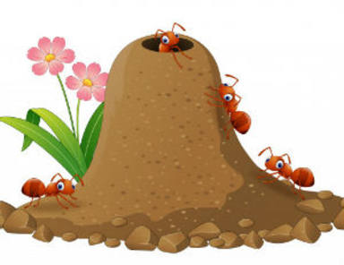 ¿Has notado que el aire está lleno de hormigas voladoras?