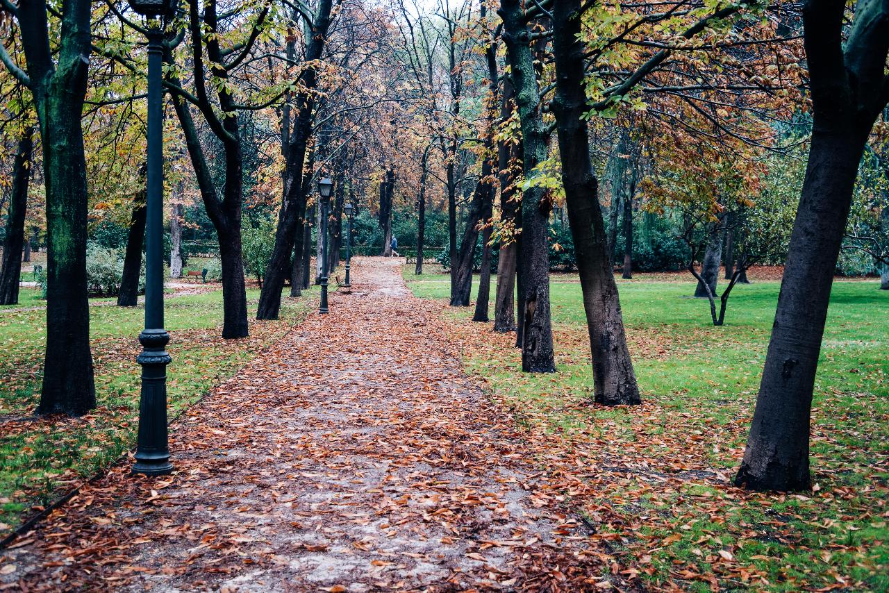 Con la llegada del otoño surge el debate, ¿cuál es tu estación favorita?