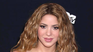 Shakira extrema las medidas de seguridad alrededor de su caso tras el asalto de un acosador