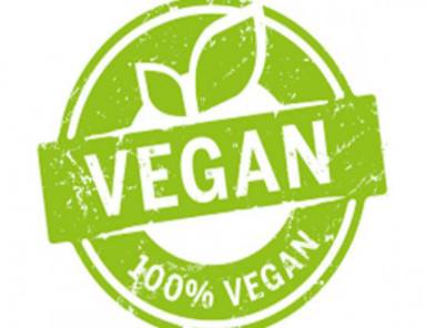 Calzado 100% Vegano