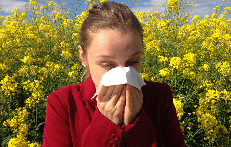 Diez consejos para aliviar las alergias al polen de esta primavera
