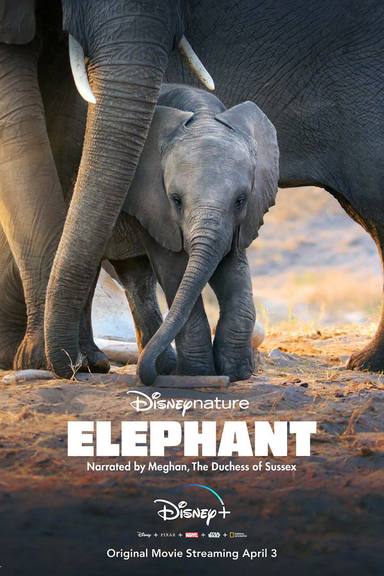 Elephant, el documental narrado por Meghan Markle