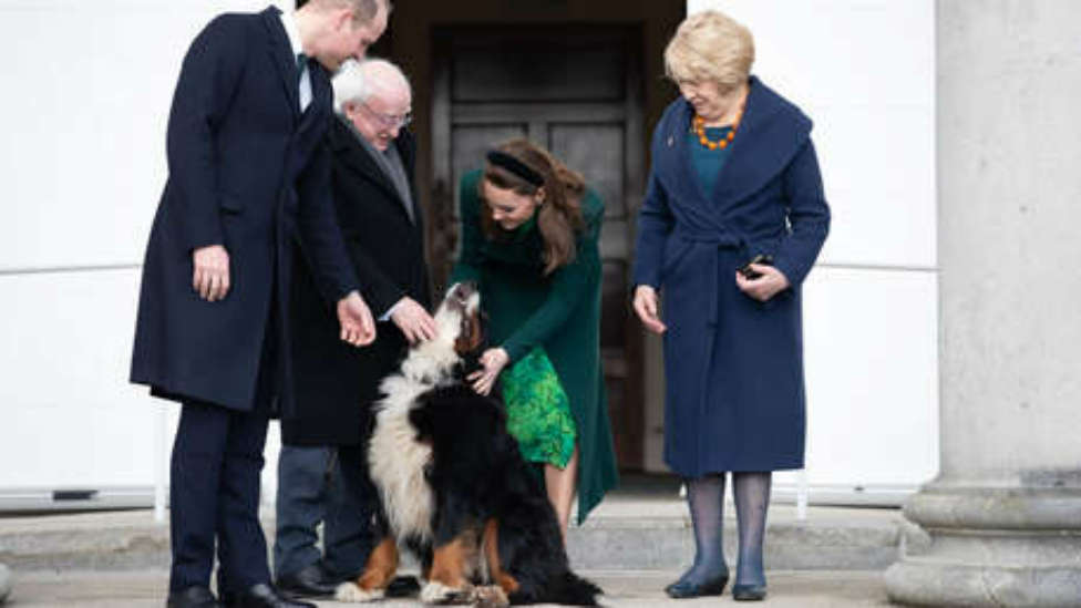 El perro del presidente de Irlanda le boicotea una comparecencia