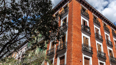 Esta es la insólita mascota que ha generado revuelo en un edificio de vecinos y que se ha hecho viral