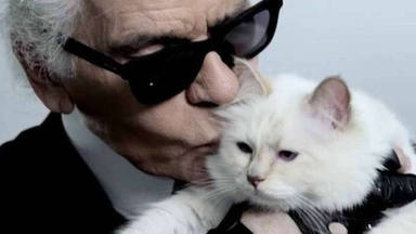 La gata de Karl Lagerfeld heredará parte de su fortuna