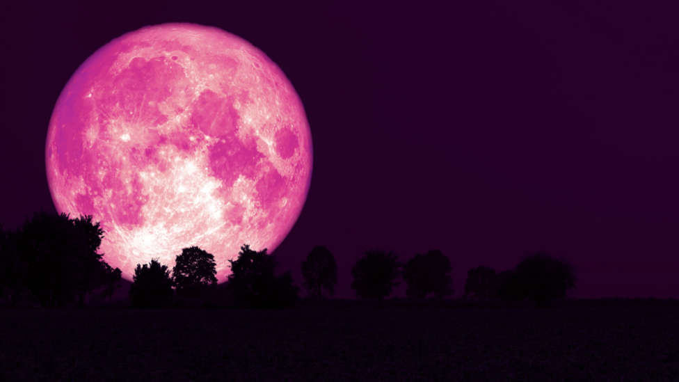 ¿Cuándo podemos ver la luna rosa?