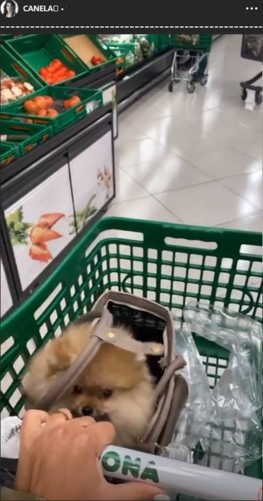 Violeta Mangriñán entra al supermercado con su perro