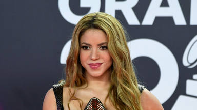 Detienen al acosador de Shakira en Miami: un hombre que decía estar casado con ella y haber formado familia