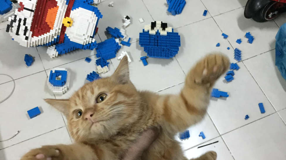 Un gato destroza una costosa escultura de Lego