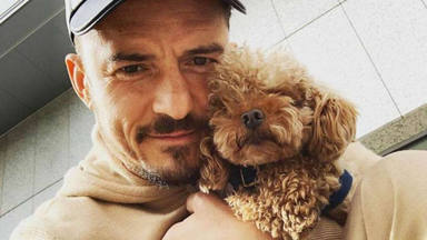 El bonito homenaje de Orlando Bloom a su perro, Mighty: “Era más que un compañero”