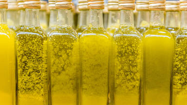 El motivo por el que se congela el aceite de oliva