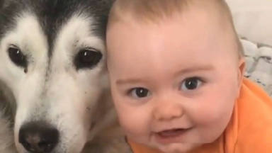La tierna amistad de un bebé y un perro que corre por las redes