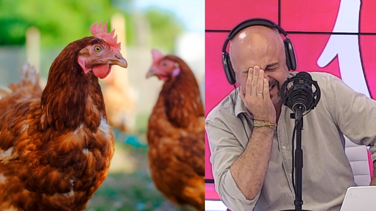 La broma viral de pedir 'orejas de pollo' y el ataque de risa de Javi Nieves